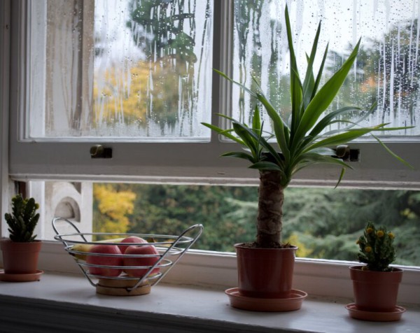 How Relative Humidity Impacts Your Home