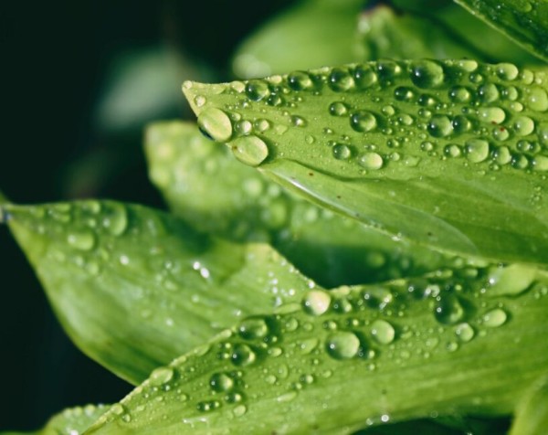 How Does Dew Point Relate to Comfort and Humidity?