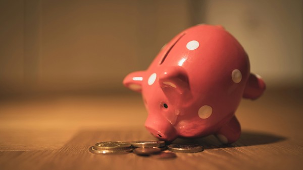 Piggy bank smelling coins